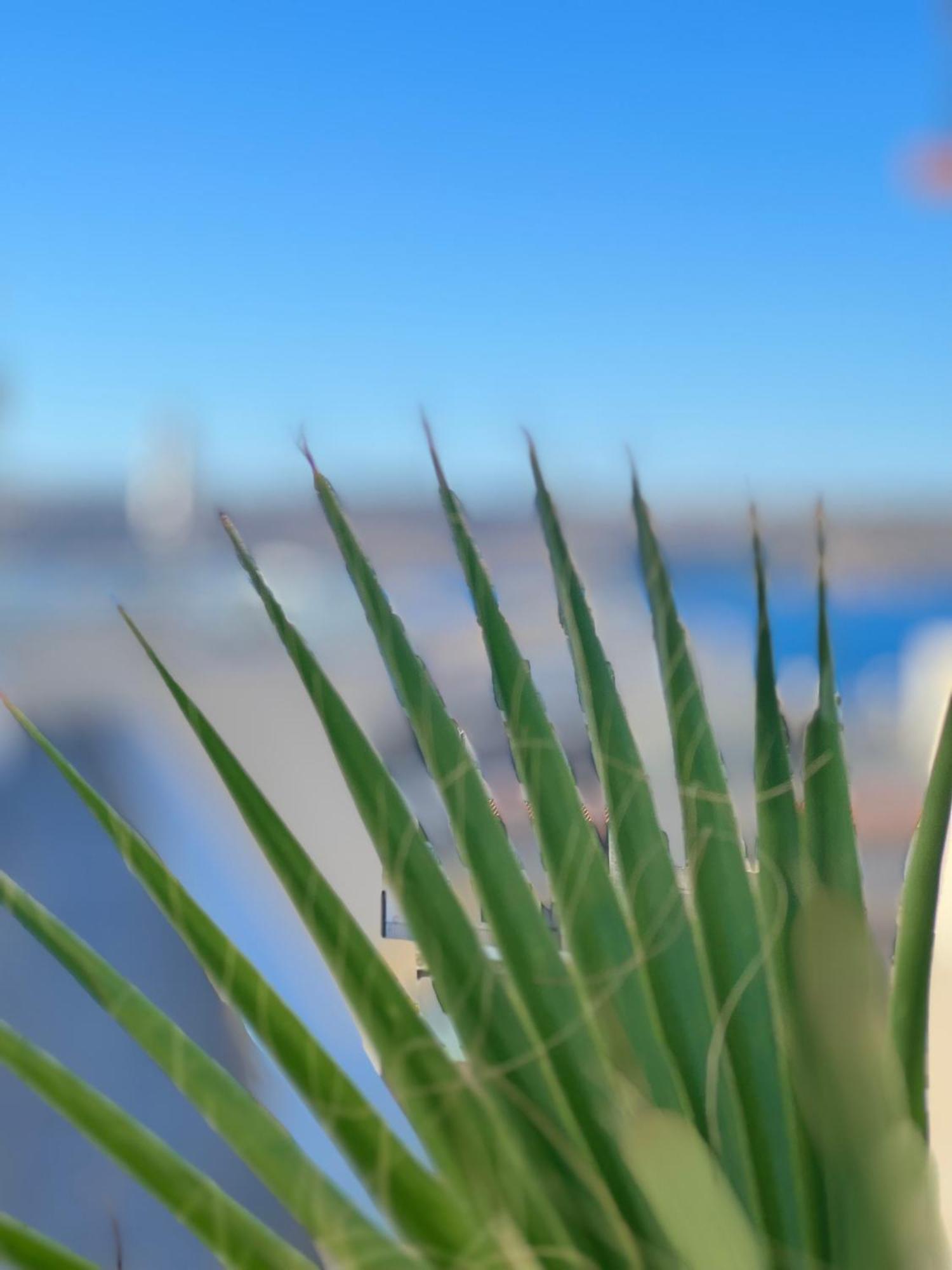 Modern & Spacious 2Br Penthouse With Terrace - Close To Qawra Beach San Pawl il-Baħar Extérieur photo